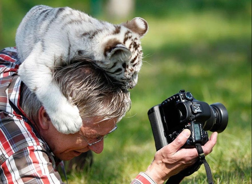 Por qué el fotógrafo de vida silvestre es el mejor trabajo del mundo