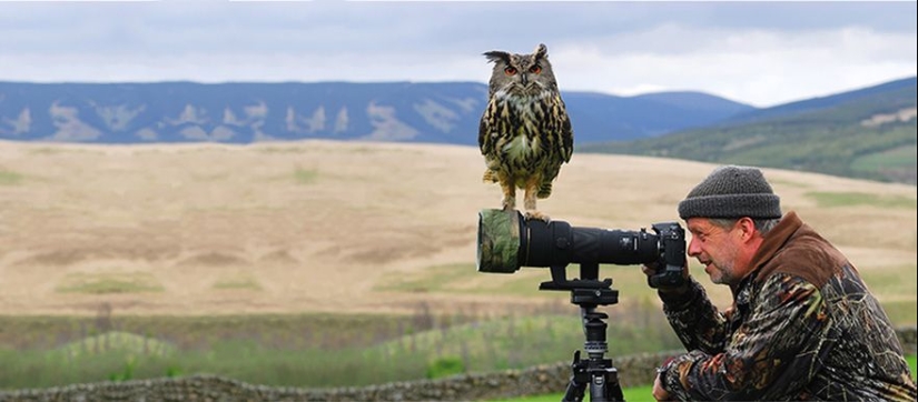 Por qué el fotógrafo de vida silvestre es el mejor trabajo del mundo