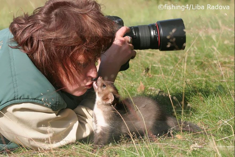 Por qué el fotógrafo de vida silvestre es el mejor trabajo del mundo