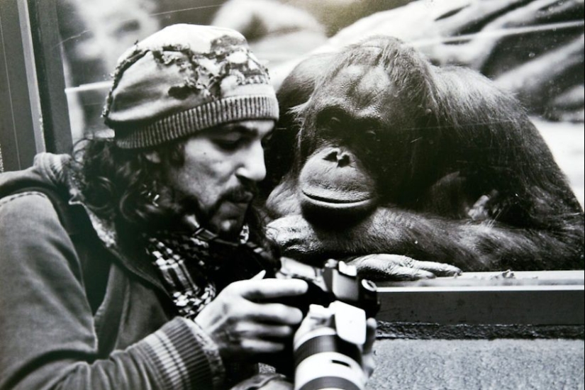 Por qué el fotógrafo de vida silvestre es el mejor trabajo del mundo