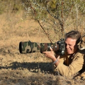 Por qué el fotógrafo de vida silvestre es el mejor trabajo del mundo