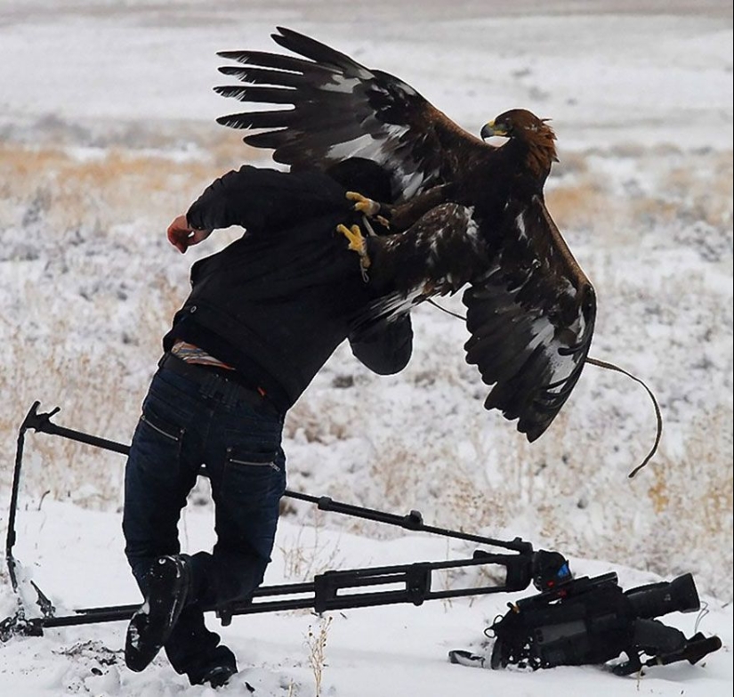 Por qué el fotógrafo de vida silvestre es el mejor trabajo del mundo