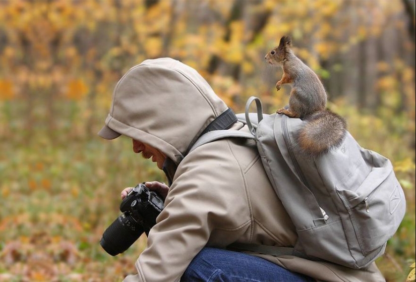 Por qué el fotógrafo de vida silvestre es el mejor trabajo del mundo