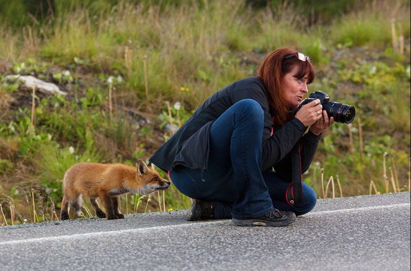 Por qué el fotógrafo de vida silvestre es el mejor trabajo del mundo