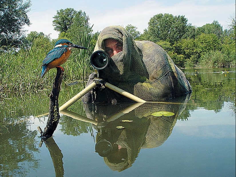 Por qué el fotógrafo de vida silvestre es el mejor trabajo del mundo