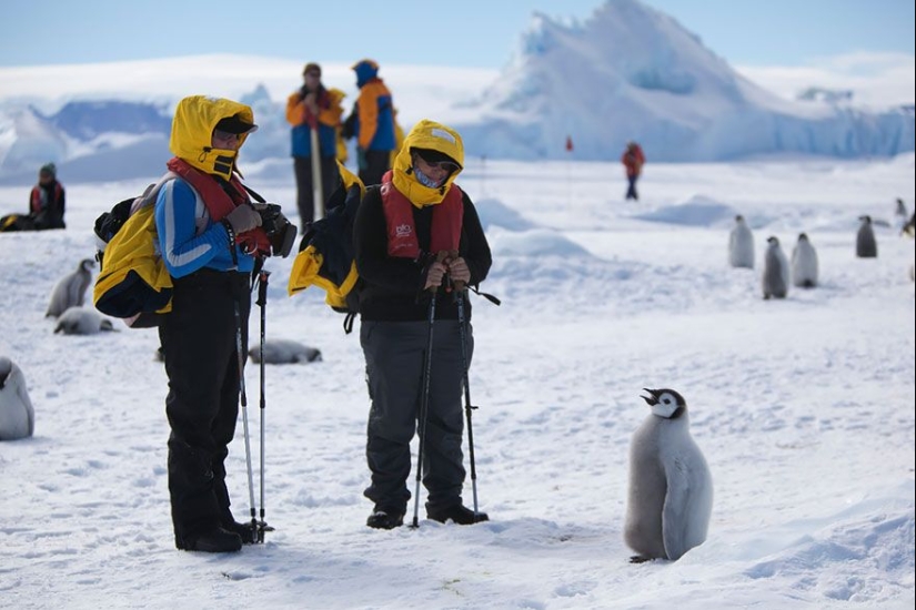 Por qué el fotógrafo de vida silvestre es el mejor trabajo del mundo