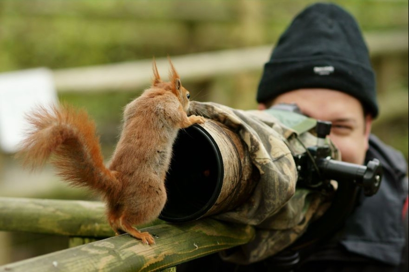 Por qué el fotógrafo de vida silvestre es el mejor trabajo del mundo