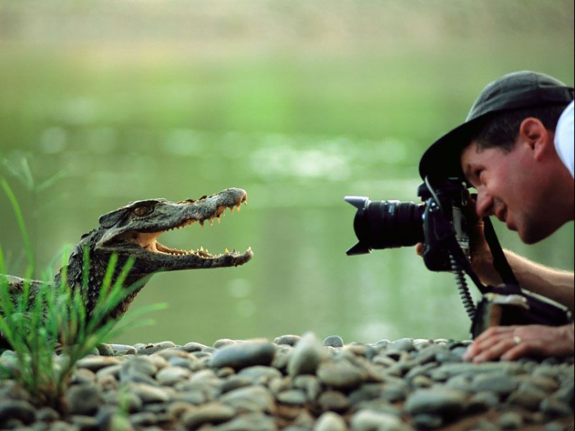 Por qué el fotógrafo de vida silvestre es el mejor trabajo del mundo