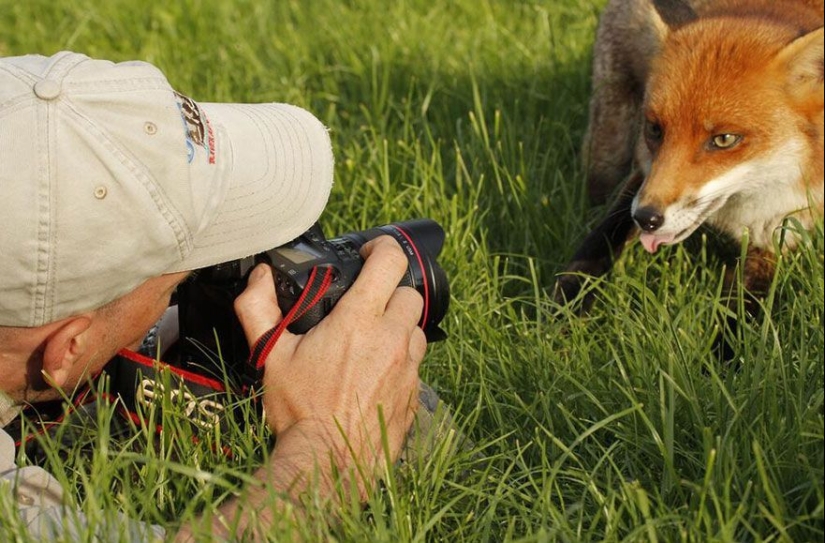 Por qué el fotógrafo de vida silvestre es el mejor trabajo del mundo