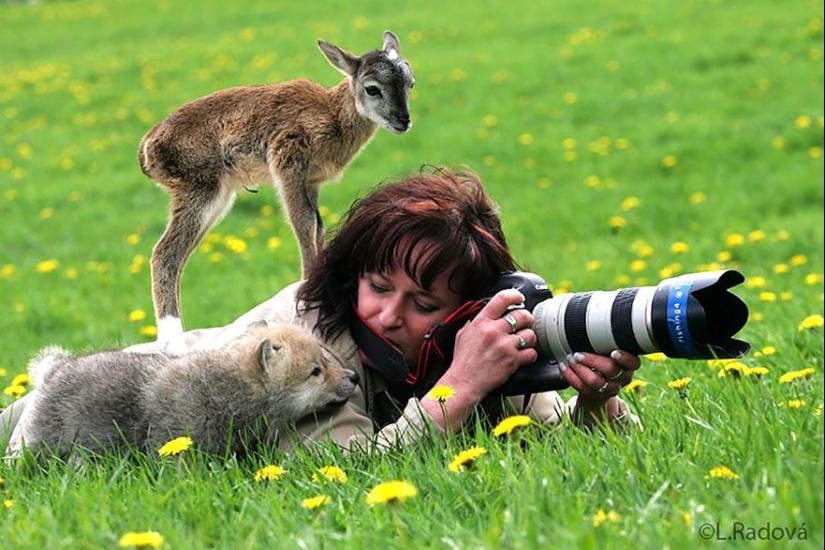 Por qué el fotógrafo de vida silvestre es el mejor trabajo del mundo