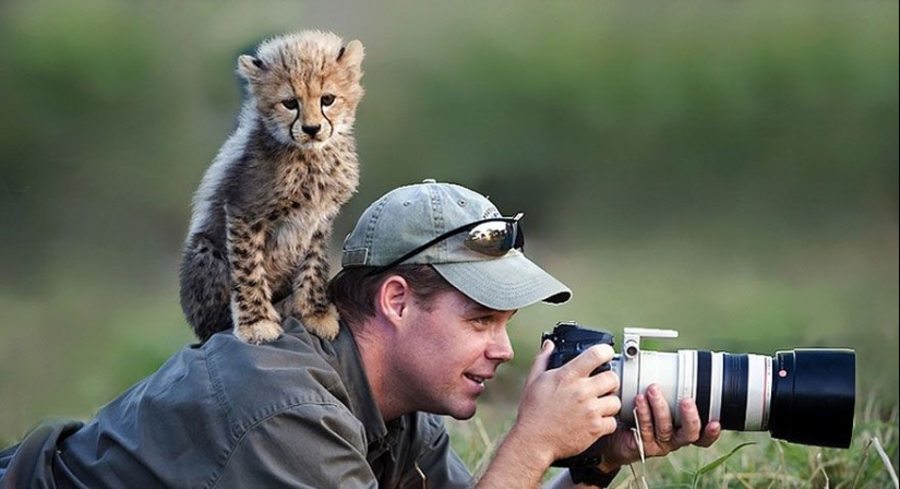 Por qué el fotógrafo de vida silvestre es el mejor trabajo del mundo