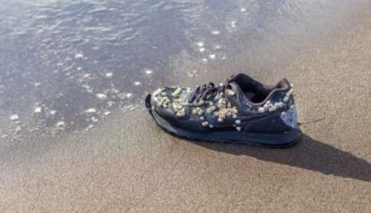 ¿Por qué en la playa en Canadá a encontrar zapatillas de deporte con cortó los pies