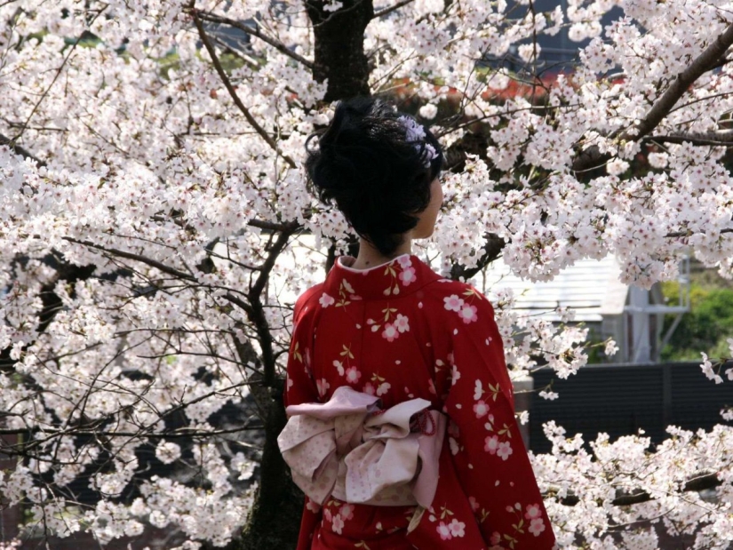 Por qué Kioto fue elegida como la mejor ciudad del mundo: 23 pruebas fotográficas