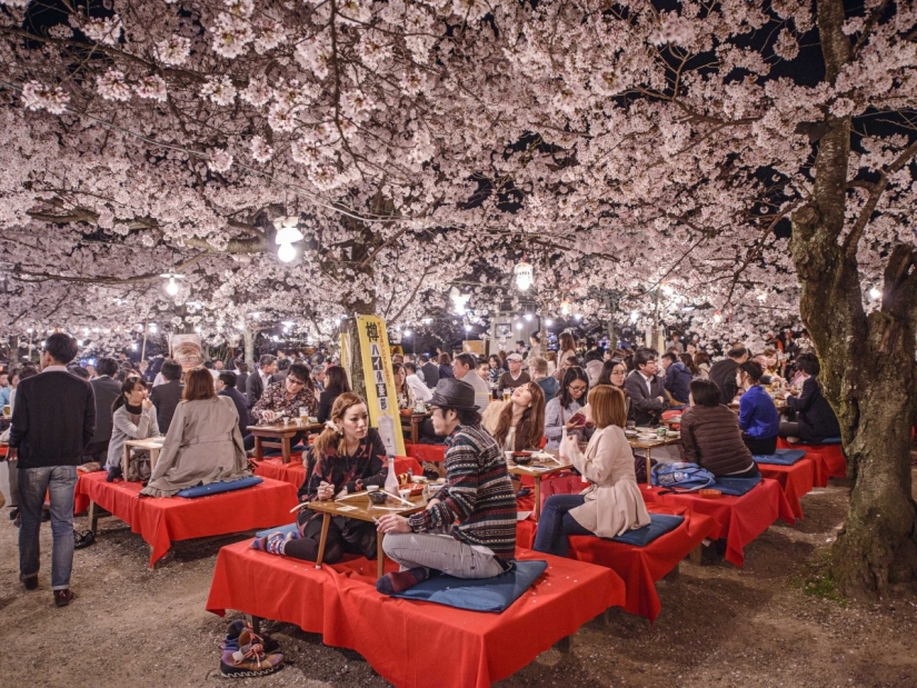 Por qué Kioto fue elegida como la mejor ciudad del mundo: 23 pruebas fotográficas