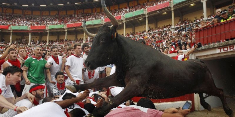 Por qué la gente en España corre de toros: la historia de las vacaciones de San Fermín en Pamplona