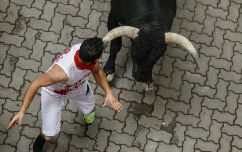 Por qué la gente en España corre de toros: la historia de las vacaciones de San Fermín en Pamplona