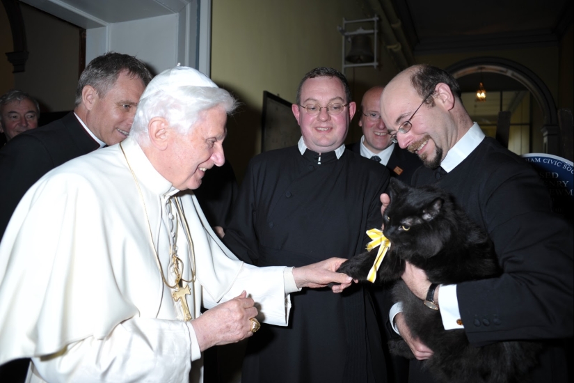 ¿Por qué la Iglesia Católica disgustos de los gatos