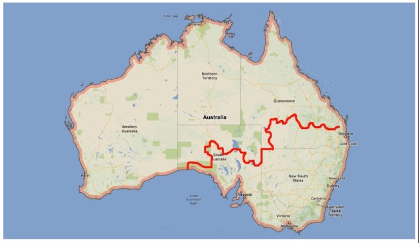 Por qué los australianos necesitan una "gran muralla" contra los gatos