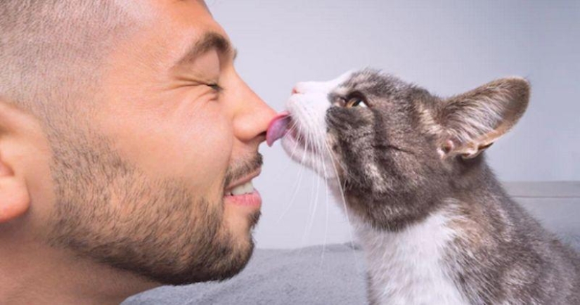 Por qué los gatos lamen la cara de las personas