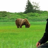 Por qué los osos se comieron a su amigo &quot;Grizzly Man&quot; Timothy Treadwell