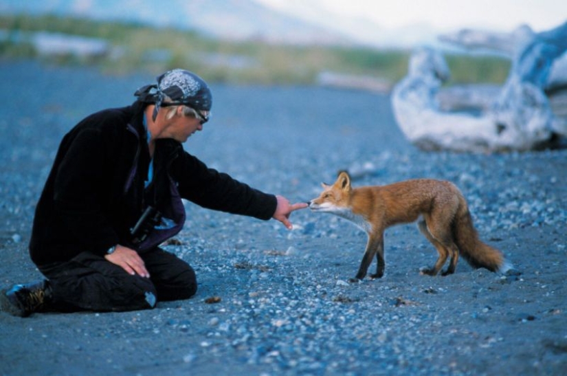 Por qué los osos se comieron a su amigo &quot;Grizzly Man&quot; Timothy Treadwell