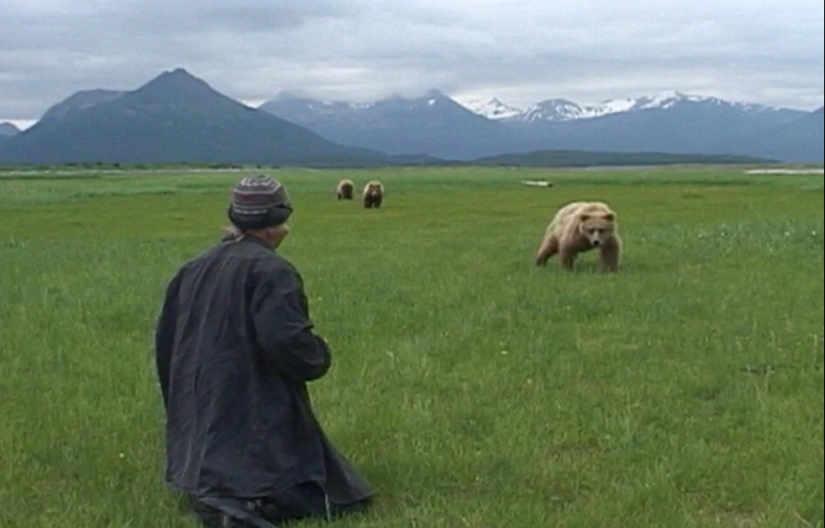 Por qué los osos se comieron a su amigo &quot;Grizzly Man&quot; Timothy Treadwell