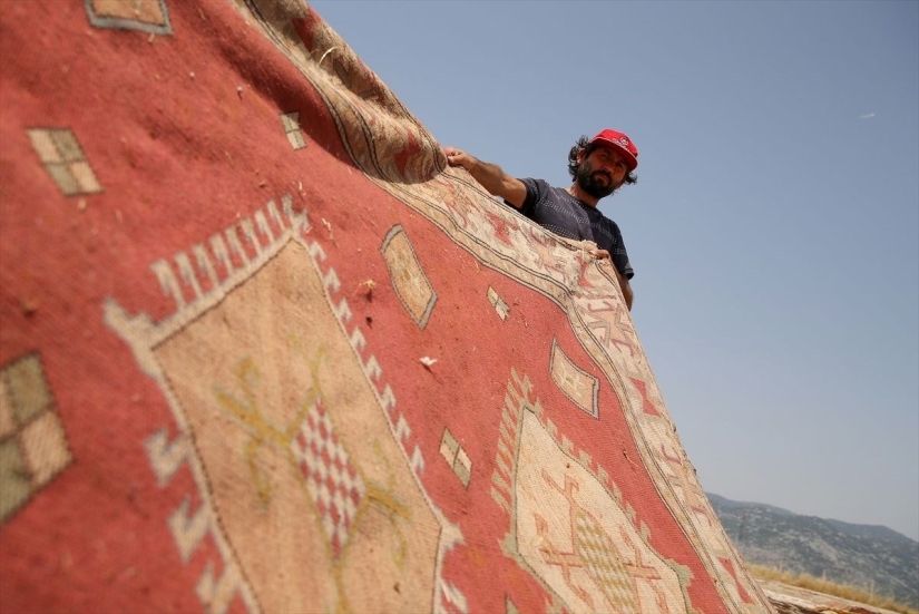 ¿Por qué los turcos colocan miles de alfombras en los campos?