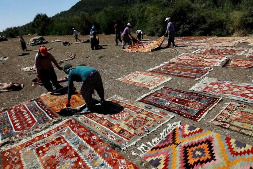 ¿Por qué los turcos colocan miles de alfombras en los campos?