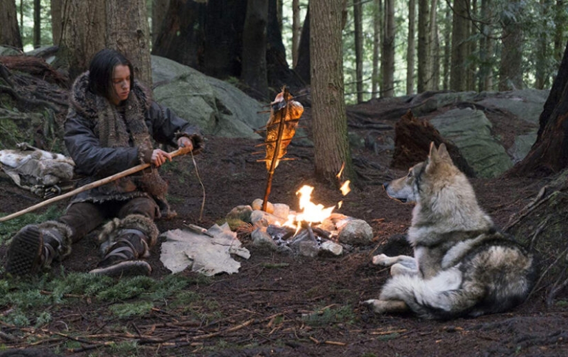 ¿Por qué una hoguera no puede protegerte de los animales salvajes en el bosque