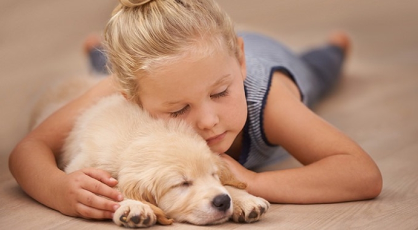 Poses all sorts of needs, poses all sorts of important: the position of the pet bed says about his attitude to you