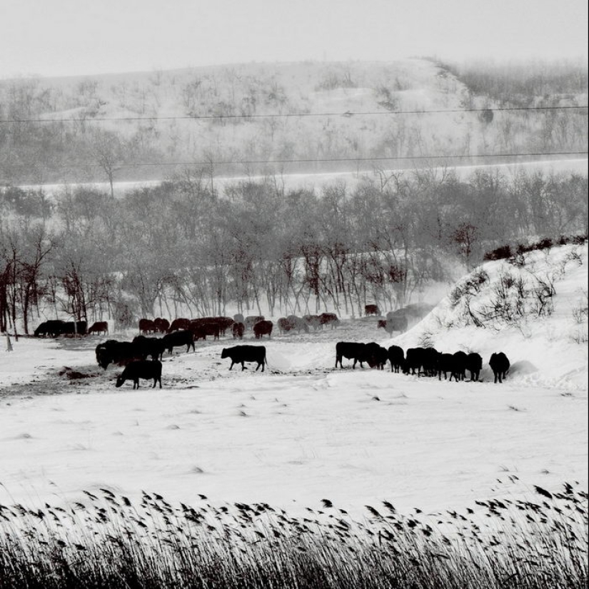 Poverty and vanity: the American Outback in pictures by Matt Black