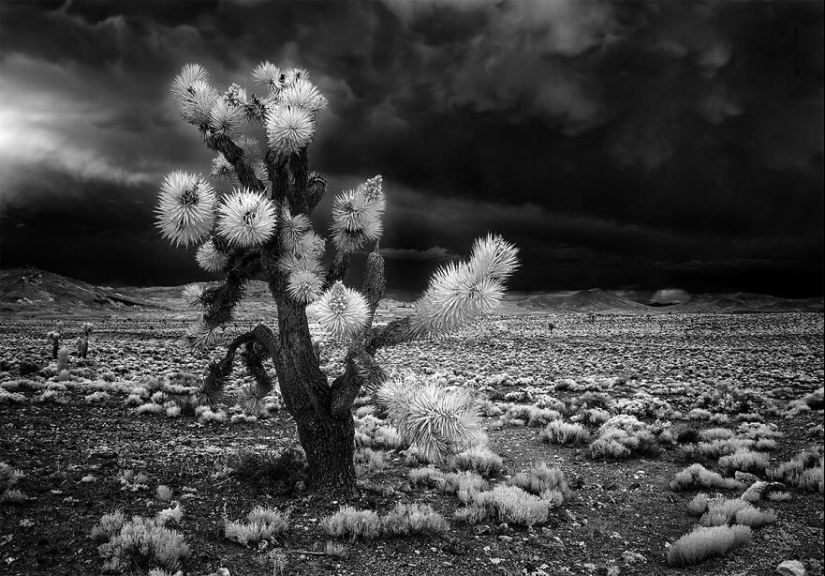 Premios All About Photo Magazine 2024: aquí están 15 de las fotografías en blanco y negro más hermosas