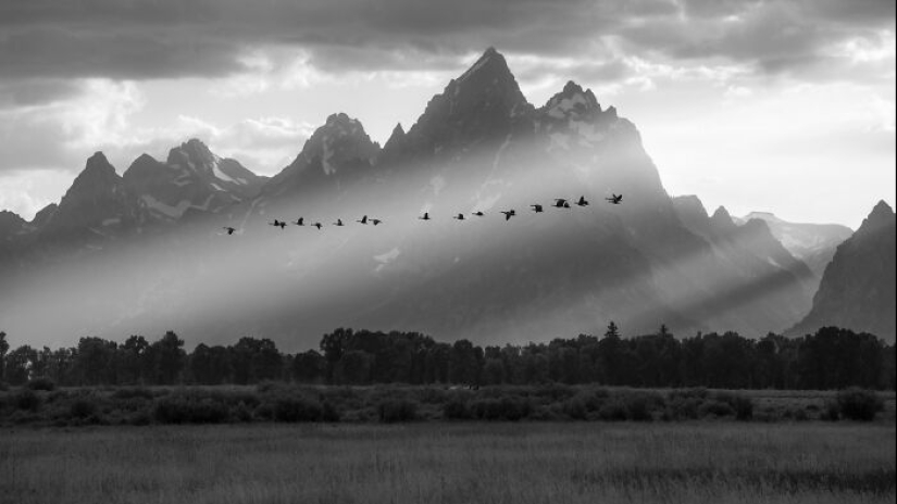 Premios Exposure One: 11 fotografías ganadoras en blanco y negro