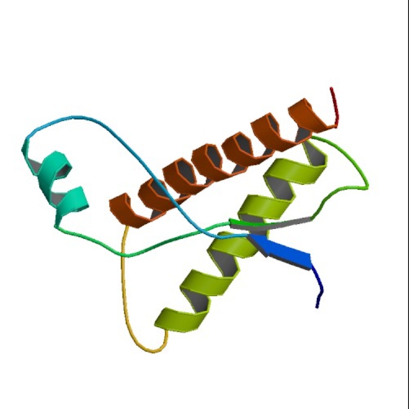 Prion diseases, which slowly and painfully die in 100% of cases