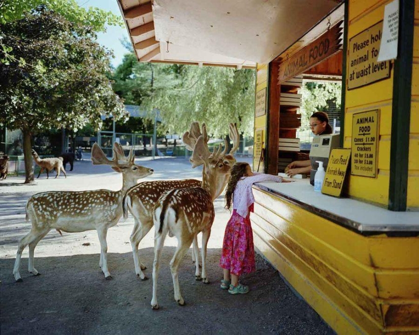 Proyecto fotográfico Robin Schwartz “El mundo de Amelia”: Arte a través del prisma de la infancia y la naturaleza