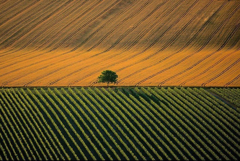 Proyecto fotográfico legendario “La Tierra vista desde el cielo”