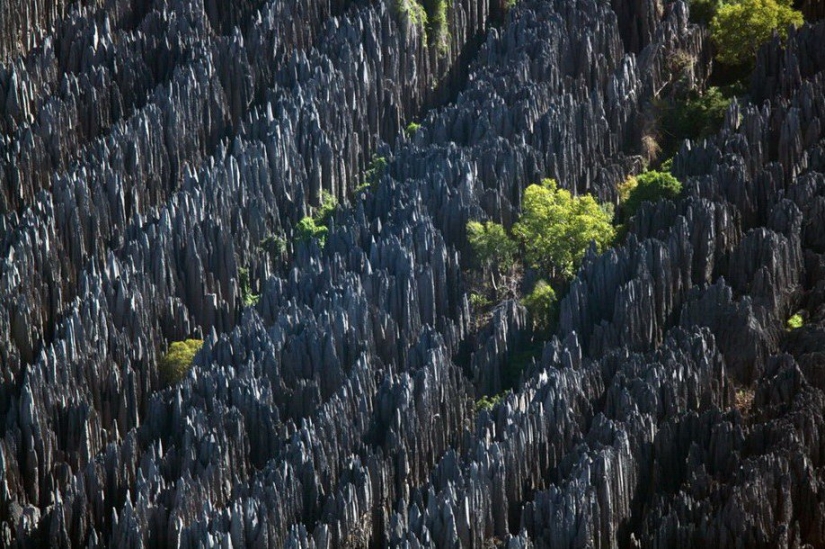 Proyecto fotográfico legendario “La Tierra vista desde el cielo”