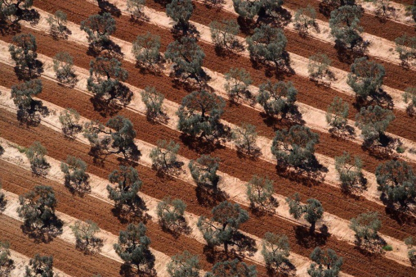 Proyecto fotográfico legendario “La Tierra vista desde el cielo”