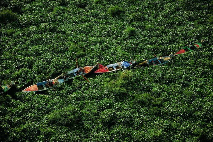 Proyecto fotográfico legendario “La Tierra vista desde el cielo”