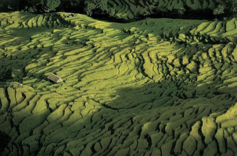 Proyecto fotográfico legendario “La Tierra vista desde el cielo”