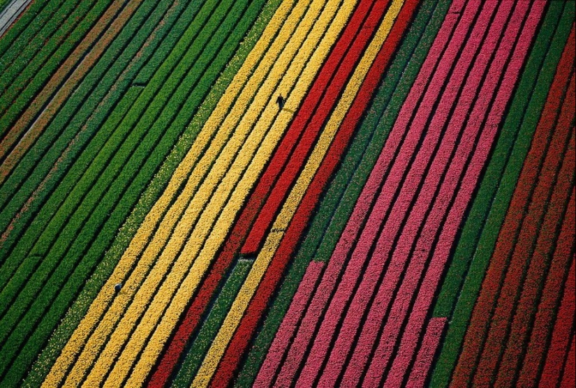 Proyecto fotográfico legendario “La Tierra vista desde el cielo”