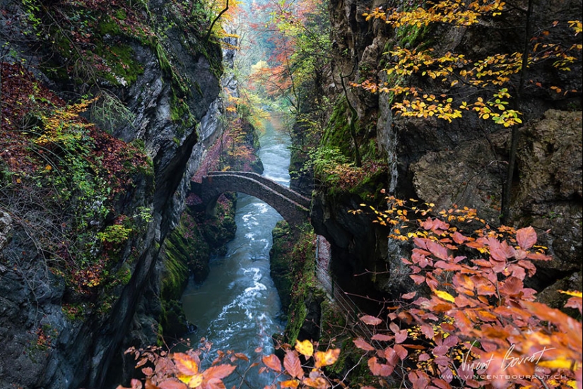 Puentes fabulosamente hermosos de la vida real