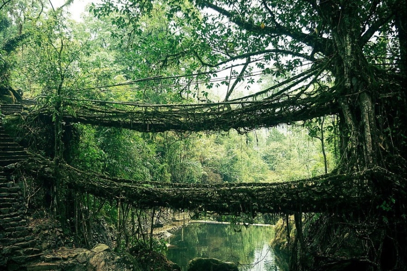 Puentes fabulosamente hermosos de la vida real