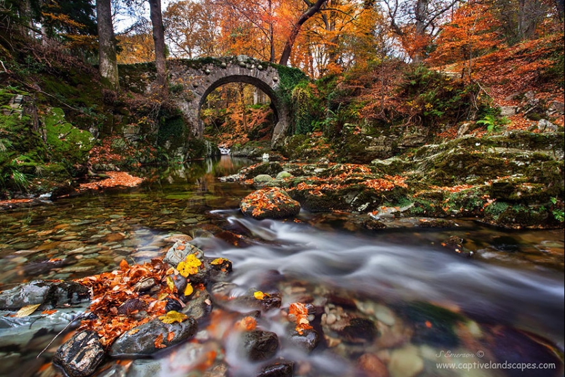 Puentes fabulosamente hermosos de la vida real