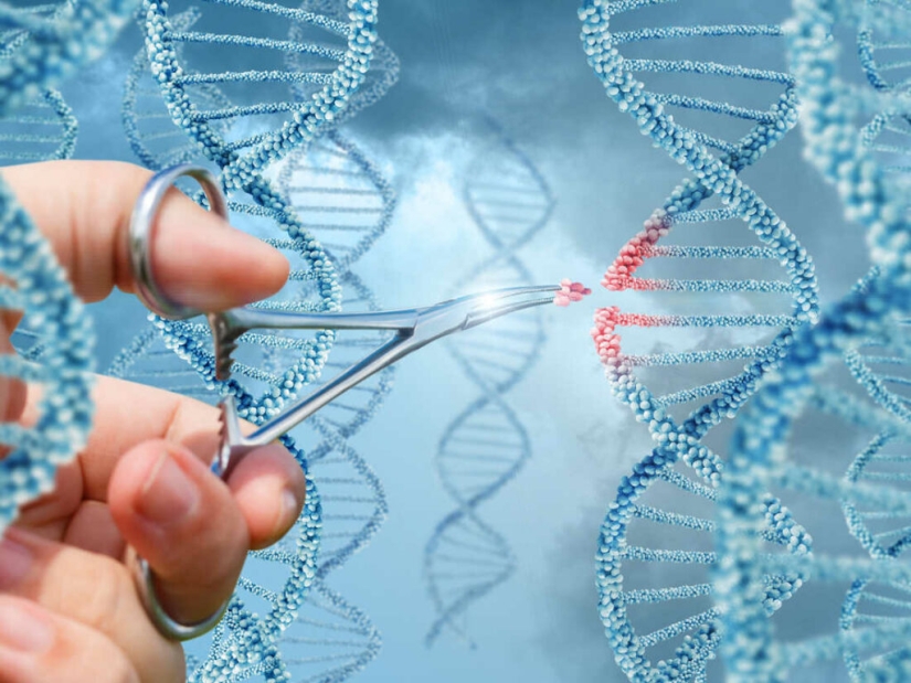 Qué es CRISPR y por qué esta biotecnología está acercando el futuro