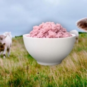 Qué es la “carne de arroz”: los científicos japoneses han inventado un nuevo producto