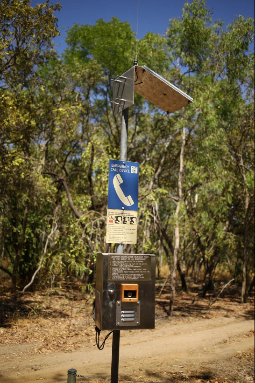 Quiénes son los Caminantes Grises de Australia