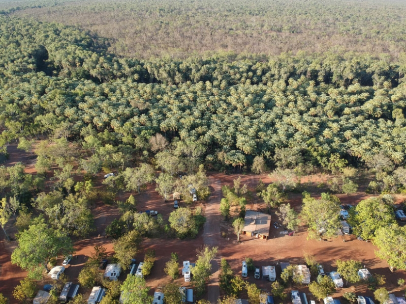 Quiénes son los Caminantes Grises de Australia