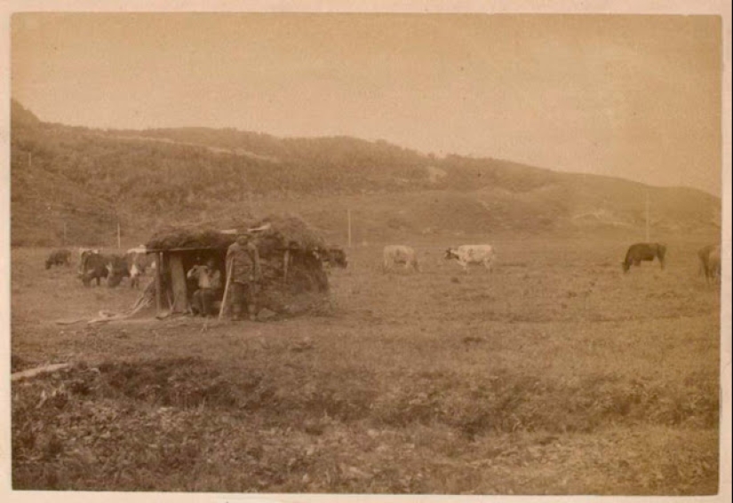 Rare photos of everyday life on Sakhalin of the late XIX - early XX century