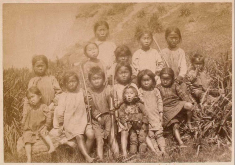 Rare photos of everyday life on Sakhalin of the late XIX - early XX century